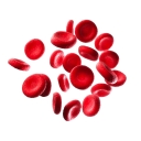 Iron Deficiency Anemia: a common disorder across multiple disciplines